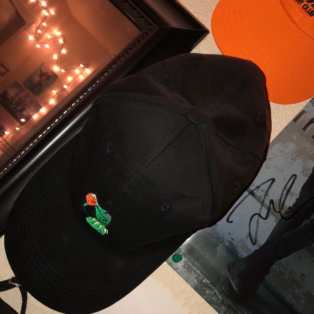 Kermit the frog dad hat